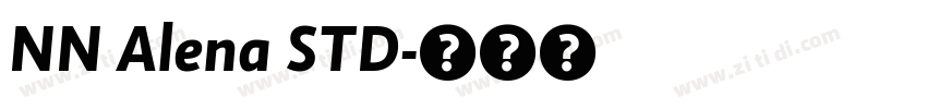 NN Alena STD字体转换